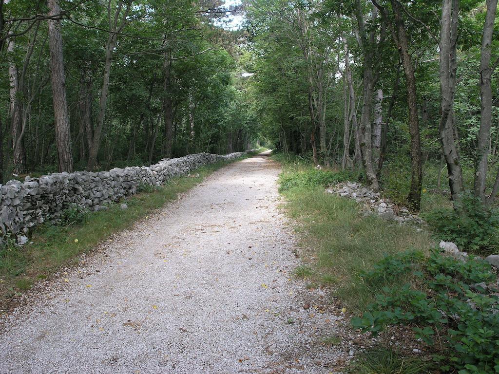 Stirenca B&B Trieste Eksteriør bilde