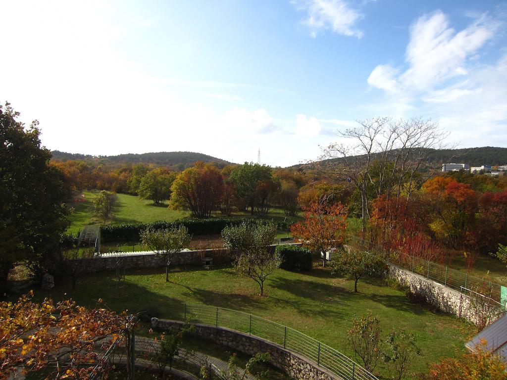 Stirenca B&B Trieste Eksteriør bilde